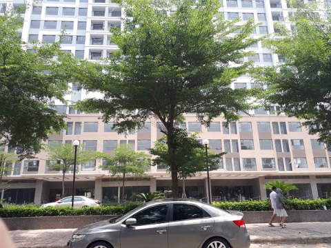 BOTANICA TAN BINH PROJECT