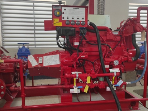 C.P FOODS FACTORY IN DONG NAI