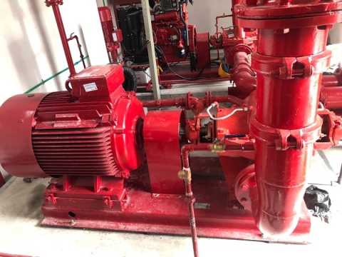 PEPPERL AND FUCHS BUILDING