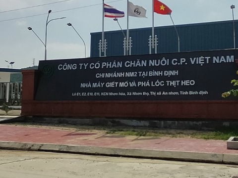 CP GROUP FACTORY IN BINH DINH