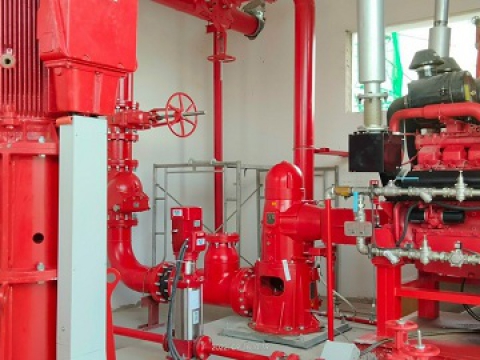 EMERGENT SPAIN USA IN BINH DUONG