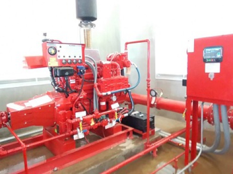  CP GROUP FACTORY IN BINH DINH