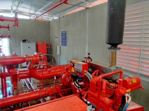  CP GROUP FACTORY IN BINH DINH