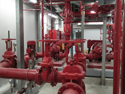 FESTIVAL PROJECT - VUNG TAU