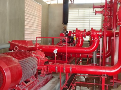  CP GROUP FACTORY IN BINH DINH