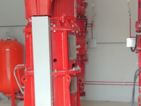 EMERGENT SPAIN USA IN BINH DUONG