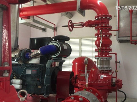  MAPLE TREE A2 FACTORY