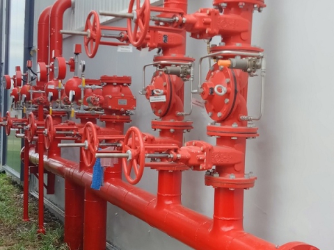 EMERGENT SPAIN USA IN BINH DUONG