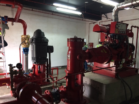 DULWICH PROJECT - MYANMAR