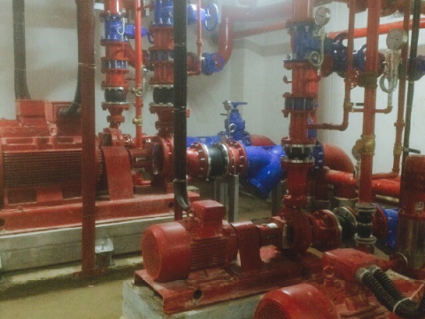 THE BOTANICA PROJECT - HO CHI MINH CITY