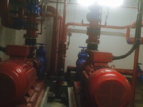 THE BOTANICA PROJECT - HO CHI MINH CITY