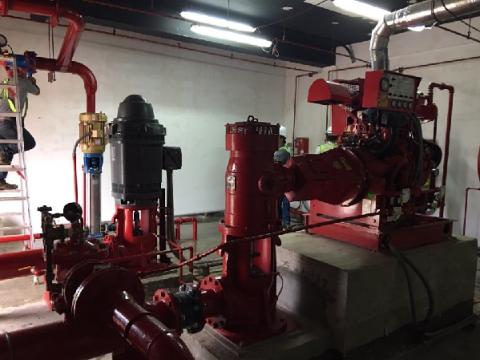 DULWICH PROJECT - MYANMAR