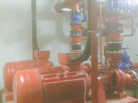 THE BOTANICA PROJECT - HO CHI MINH CITY