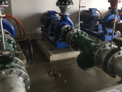 FANG BROTHER KNITTING FACTORY PROJECT (LASTED UPDATE)