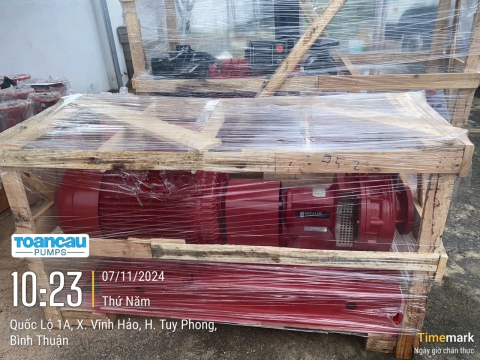 MASAN CONSUMER COMPANY PROJECT - BINH THUAN PROVINCE