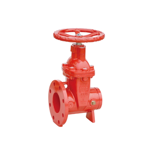 BS Flanged x Grooved Resilient NRS Gate Valve (Z55X)