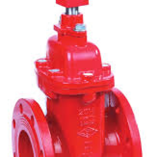 BS Flanged Resilient NRS Gate Valve, Type B (Z45XBC)