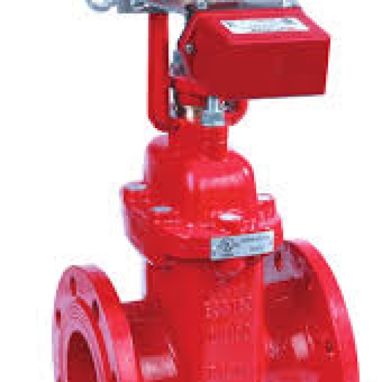 BS Flanged Resilient OS&Y Gate Valve, with Tamper Switch (XZ41X-1)