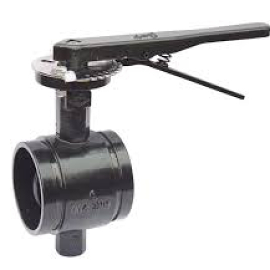 BS Grooved Resilient Butterfly Valve Lever Operated (D81X4-BL)(Longer Neck Design)