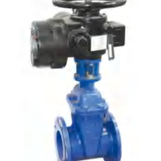 BS 5163 Electric Gate Valve (Z945X)